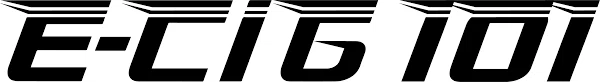 E-CIG 101 Merchant Logo