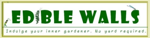Edible Walls coupons