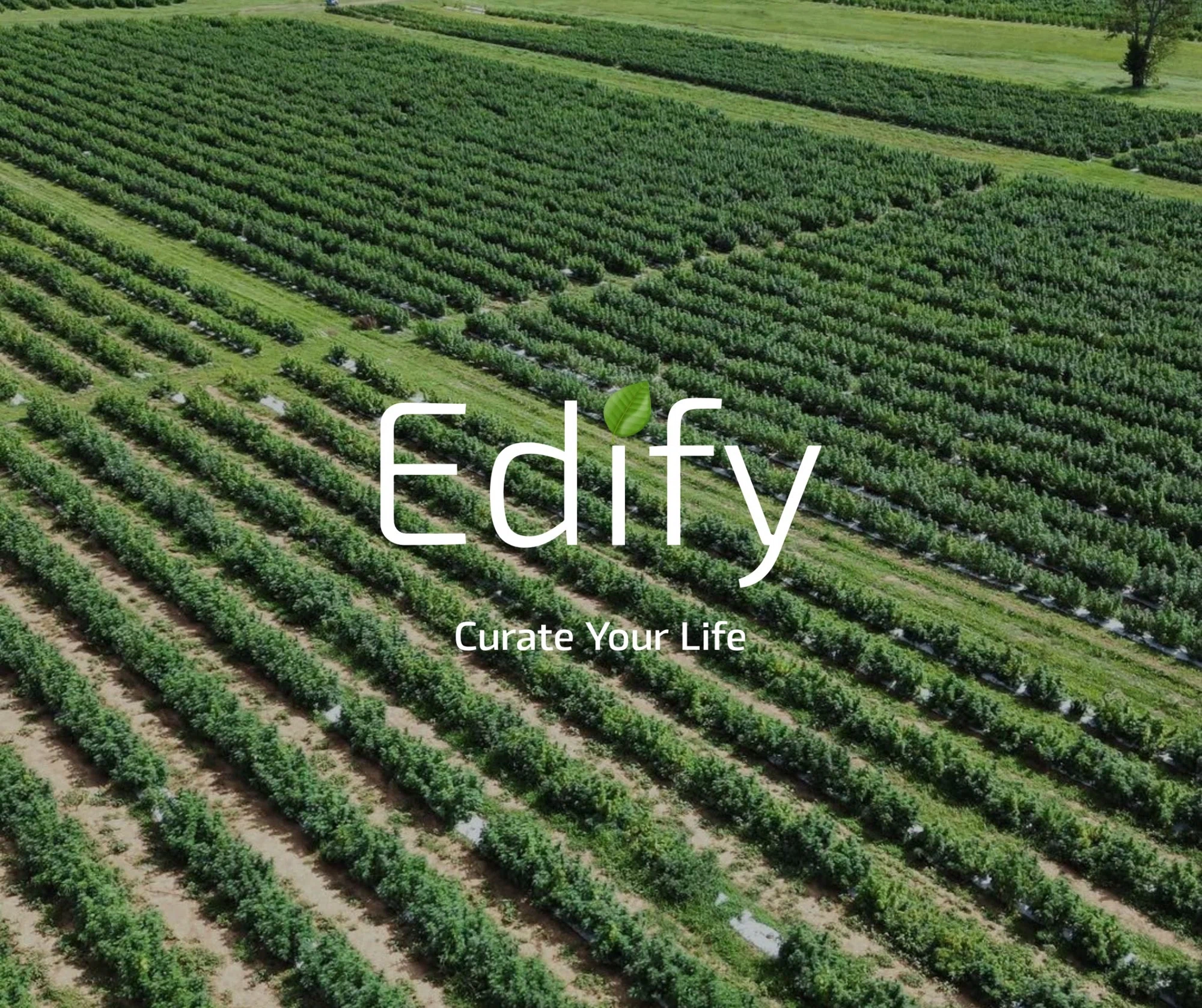 Edify One Promo Code