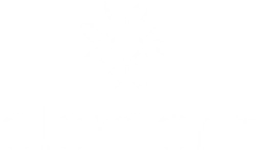 Element Original discount code