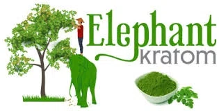 ELEPHANT KRATOM Promo Code — 50 Off in June 2024