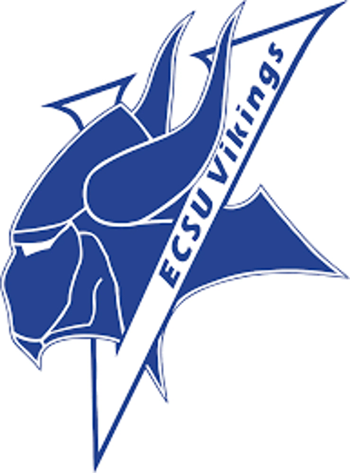 ECSU Vikings Promo Code