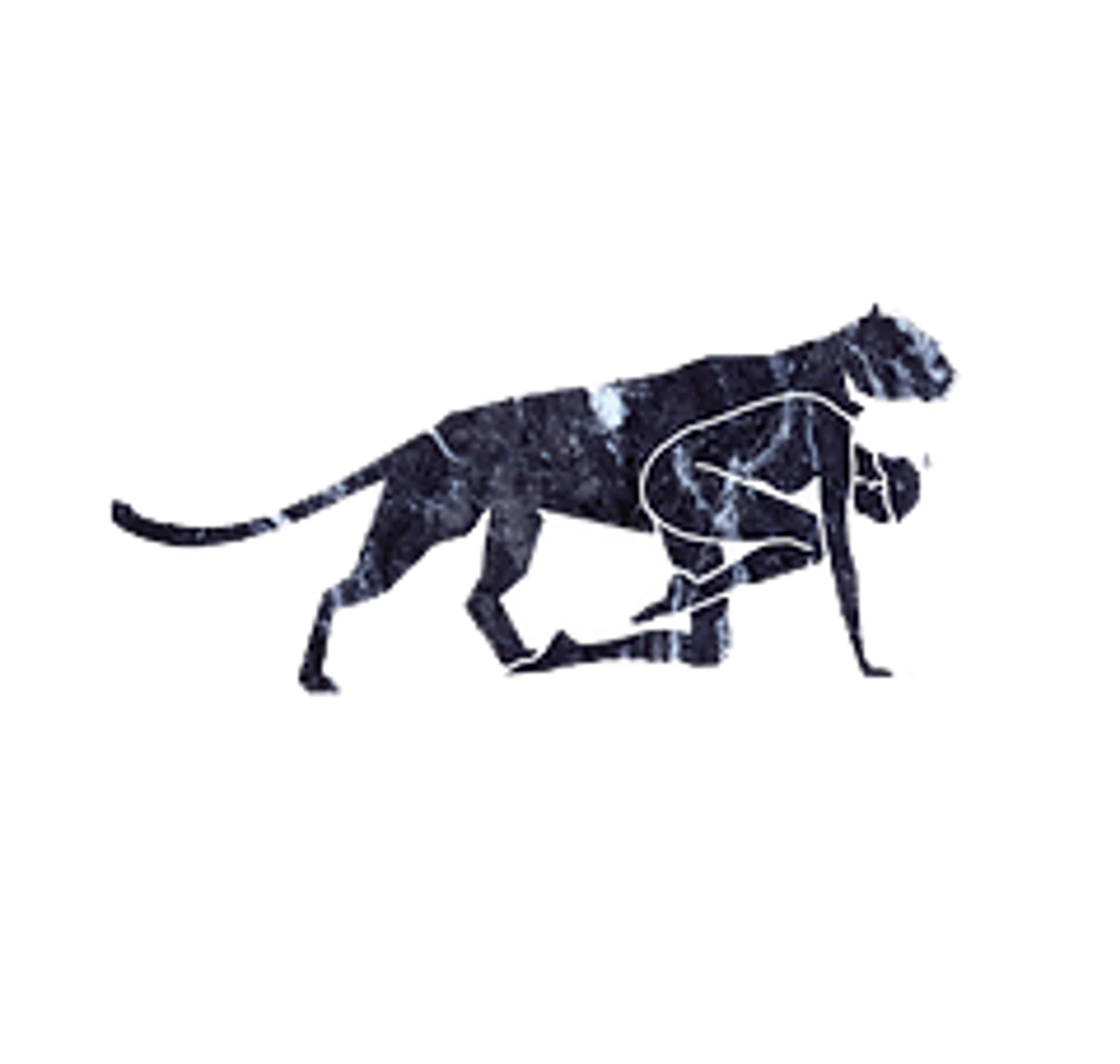 Elle Kaye Taxidermy Merchant Logo