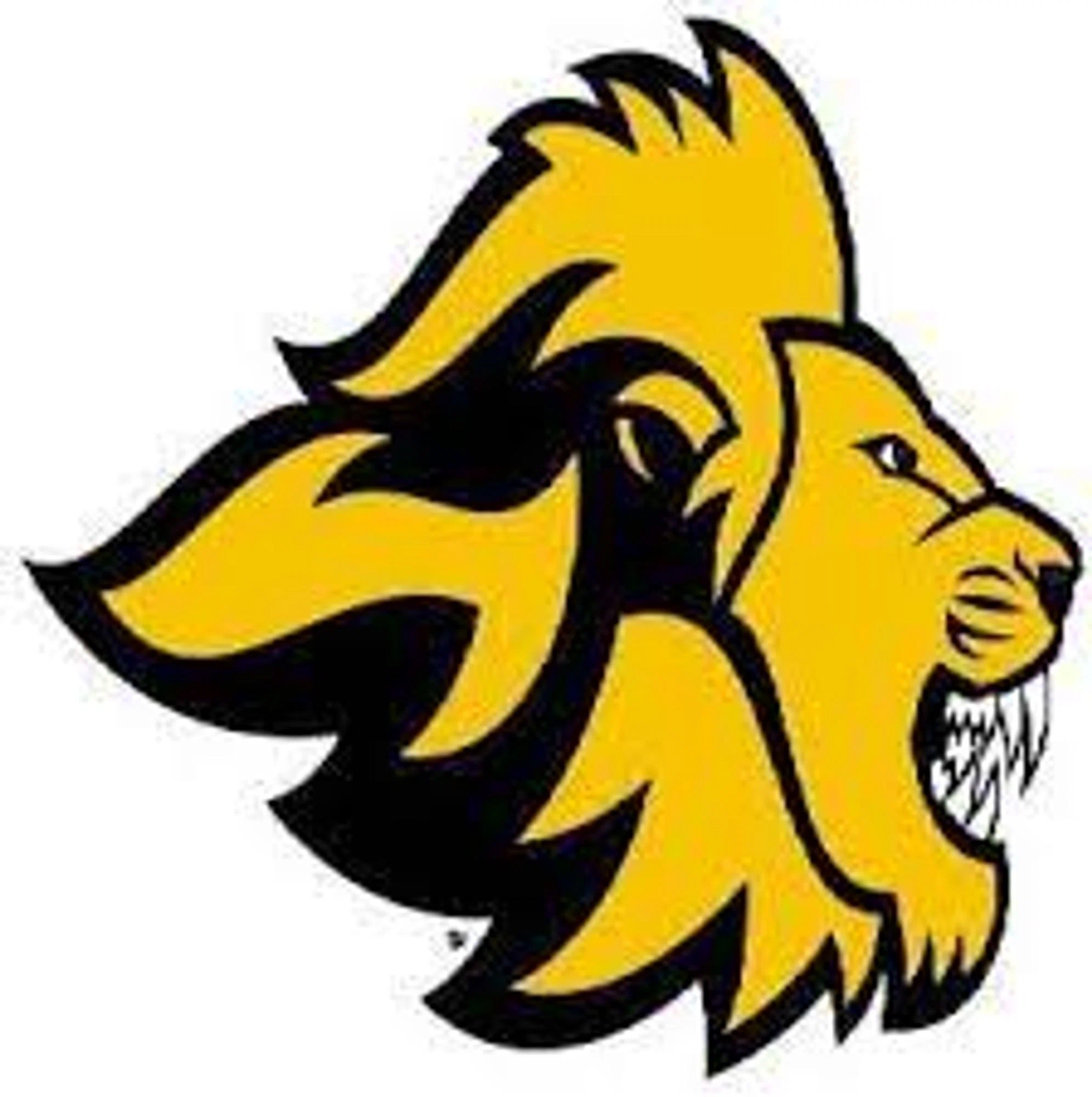 Emerson College Lions Promo Code