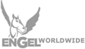 Engel Worldwide Merchant Logo