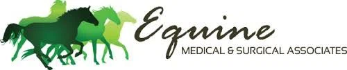 Equine Medical and Surgical Associates Merchant Logo