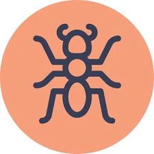 Esthetic Ants Promo Code