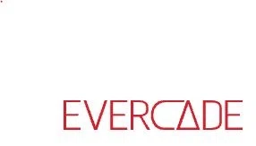 Evercade Promo Code