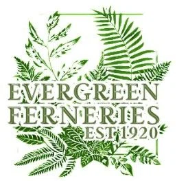 Evergreen Ferneries Merchant Logo
