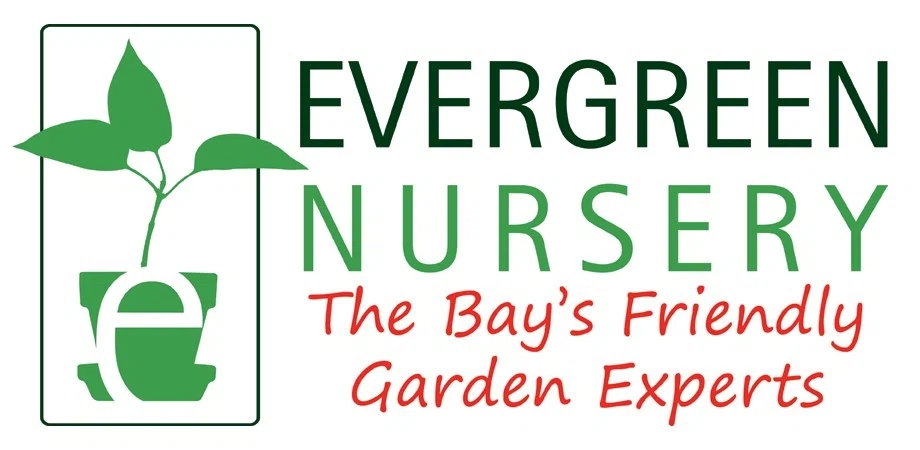 EVERGREEN NURSERY Promo Code — 170 Off in Sep 2024