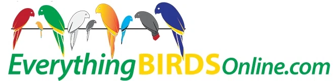 EVERYTHING BIRDS Promo Code — 50 Off in August 2024