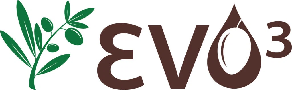 EVO3 Merchant Logo