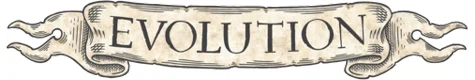 The Evolution Store Promo Code