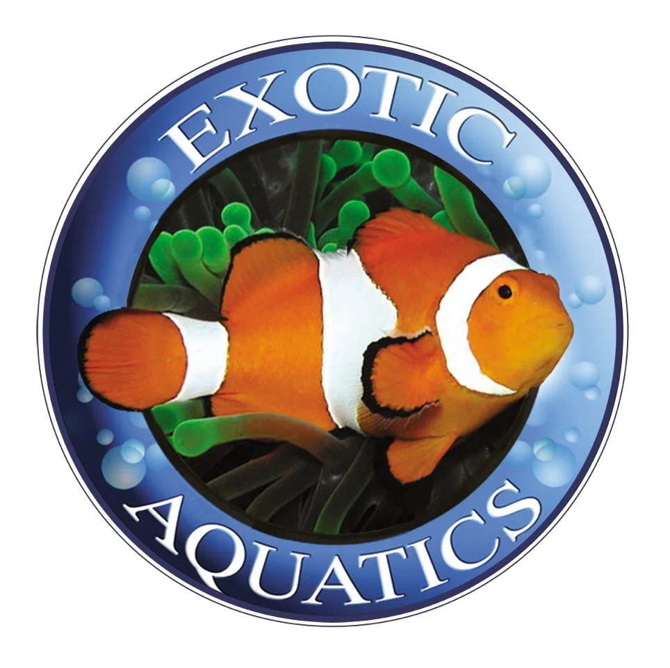 20% Off Exotic Aquatics Promo Code, Coupons | August 2023