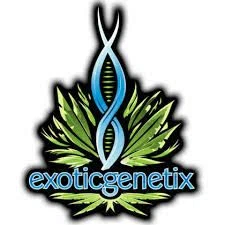 Exotic Genetix Merchant Logo