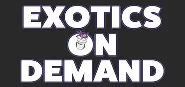 EXOTICS ON DEMAND Promo Code — 85 Off in April 2024
