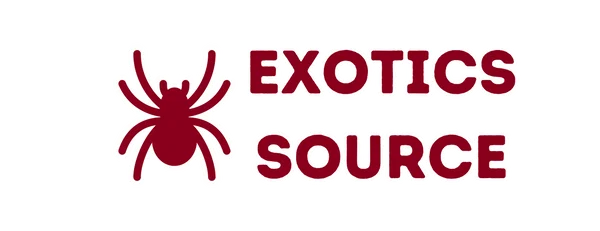Exotics Source discount code