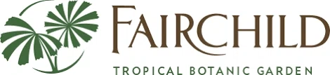 20 Off Fairchild Promo Code Coupons January 2022