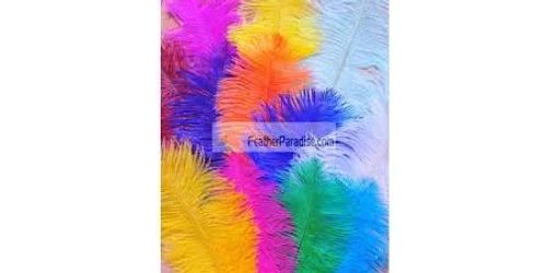 FeatherParadise.com Promo Code