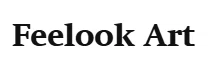Feelook Art Promo Code
