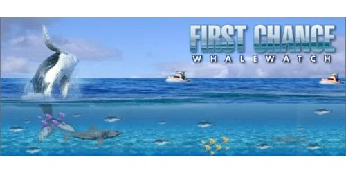 First Chance Whale Watch Promo Code