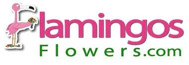 FLAMINGO'S FLOWERS Promo Code — 100 Off Sep 2024