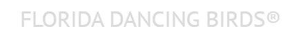 Florida Dancing Birds Merchant Logo