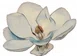 Floating Magnolia Bookkeeping Services Merchant Logo