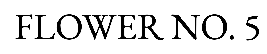 Flower No. 5 Merchant Logo