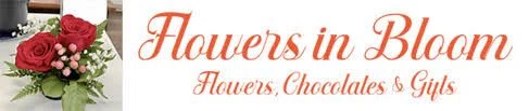 Flowers In Bloom DMV Merchant Logo