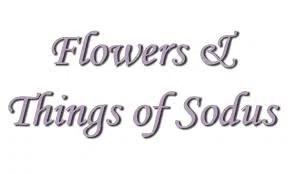 Flowers & Things Of Sodus Merchant Logo