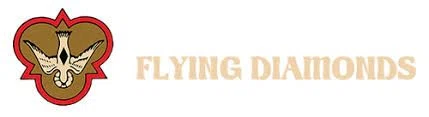 Flying Diamonds of California Merchant Logo