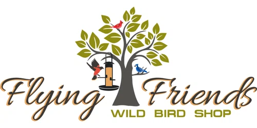Flying Friends Promo Code
