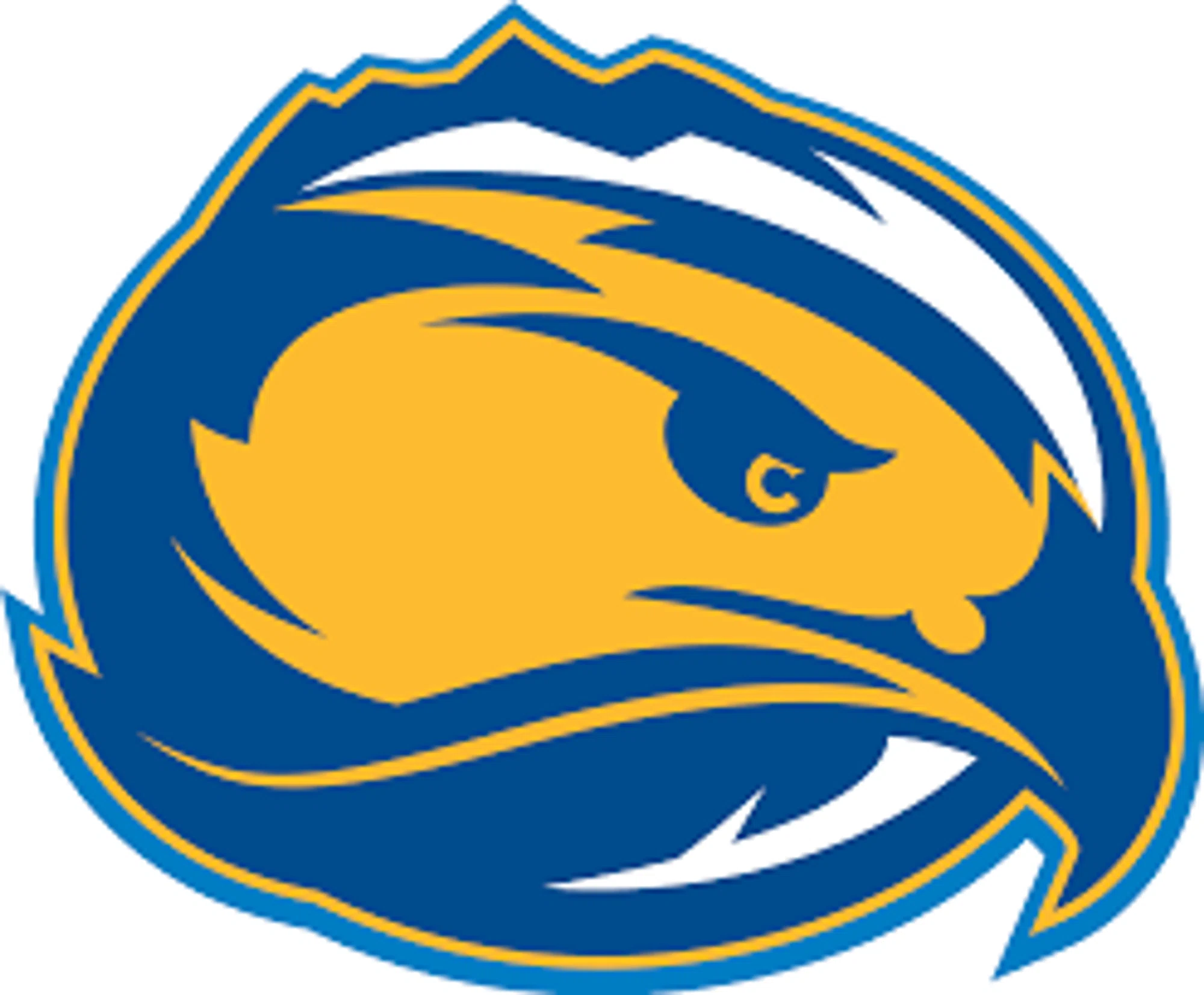 FORT LEWIS COLLEGE SKYHAWKS Promo Code — 25 Off 2024