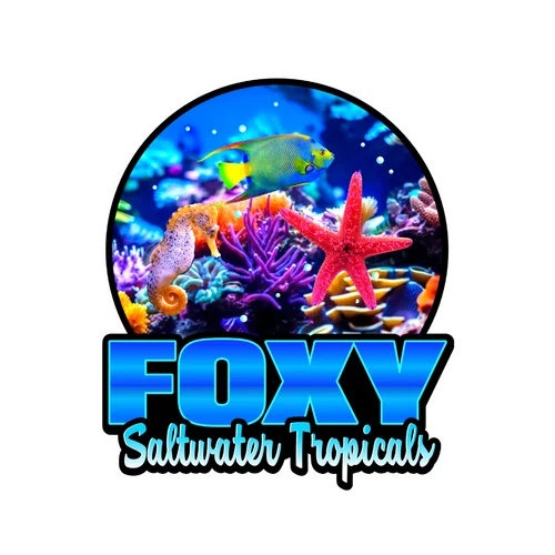 Foxy Saltwater Tropicals Promo Code