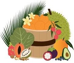 Freedom Fruit Florida Merchant Logo