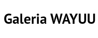 Galeria WAYUU Promo Code