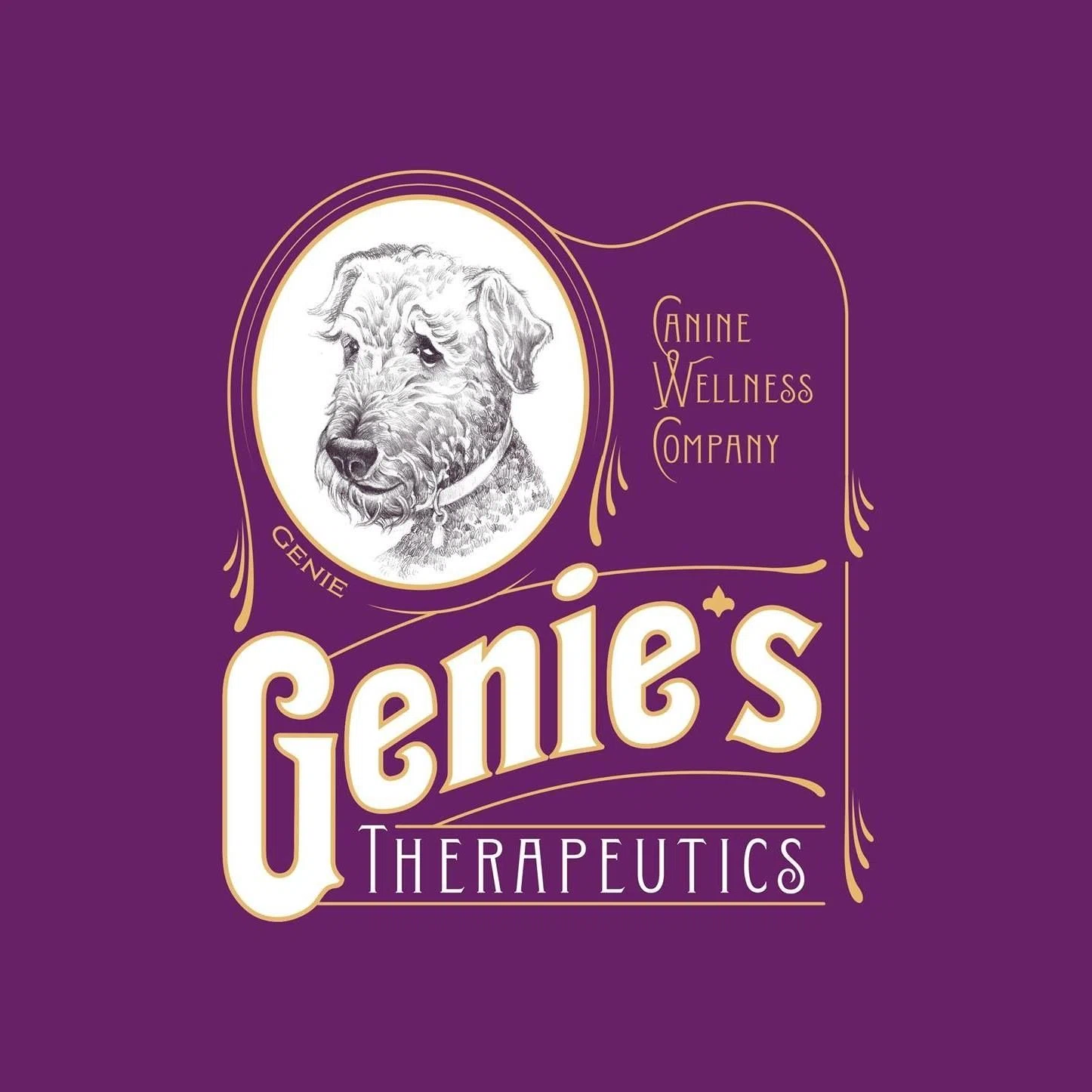 Genies Therapeutics Promo Code