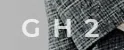 g h 2 Merchant Logo