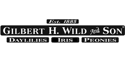 Gilbert H. Wild Merchant logo