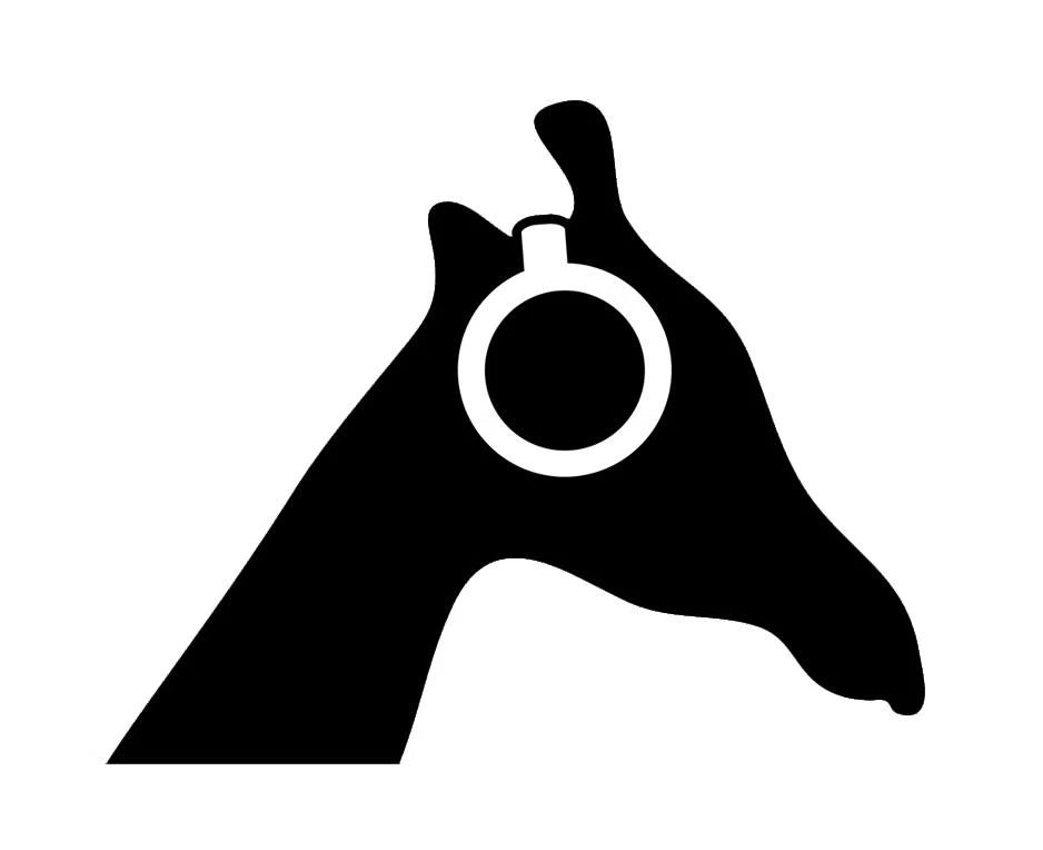 GIRAFFE AUDIO Discount Code — 200 Off in Sep 2024