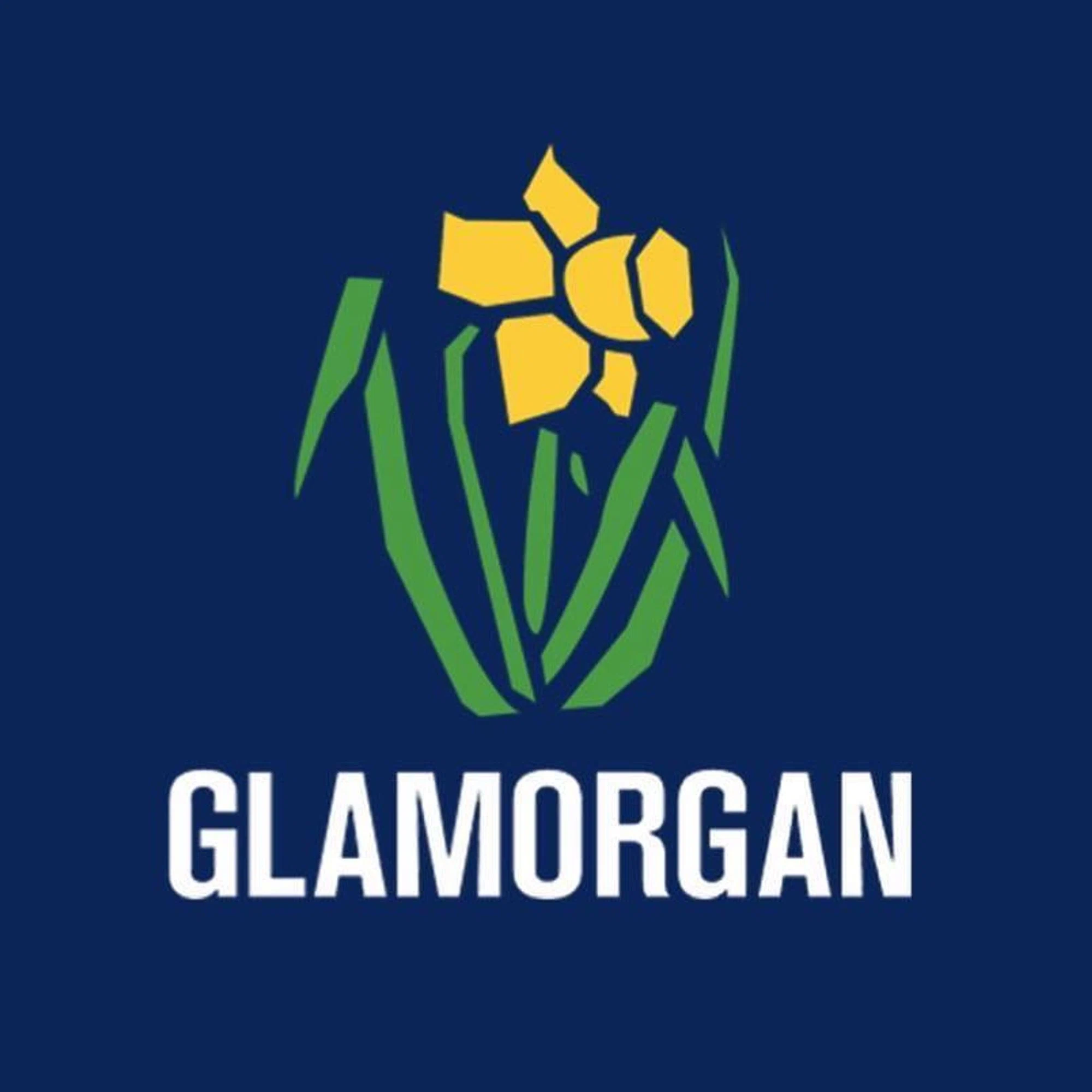 Glamorgan Cricket Promo Code