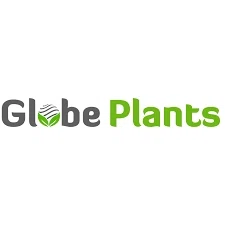 GLOBE PLANTS Promo Code — 10 Off (Sitewide) 2024