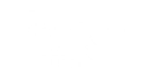 Go Brazee Promo Code