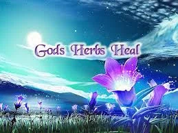 Gods Herbs Heal Merchant Logo