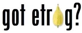 GotEtrog.com Promo Code