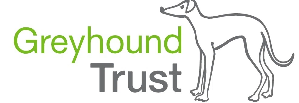 GREYHOUND TRUST Discount Code — 200 Off in Aug 2024