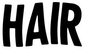Hair Los Angeles Promo Code