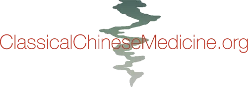 Hai Shan Center Merchant Logo