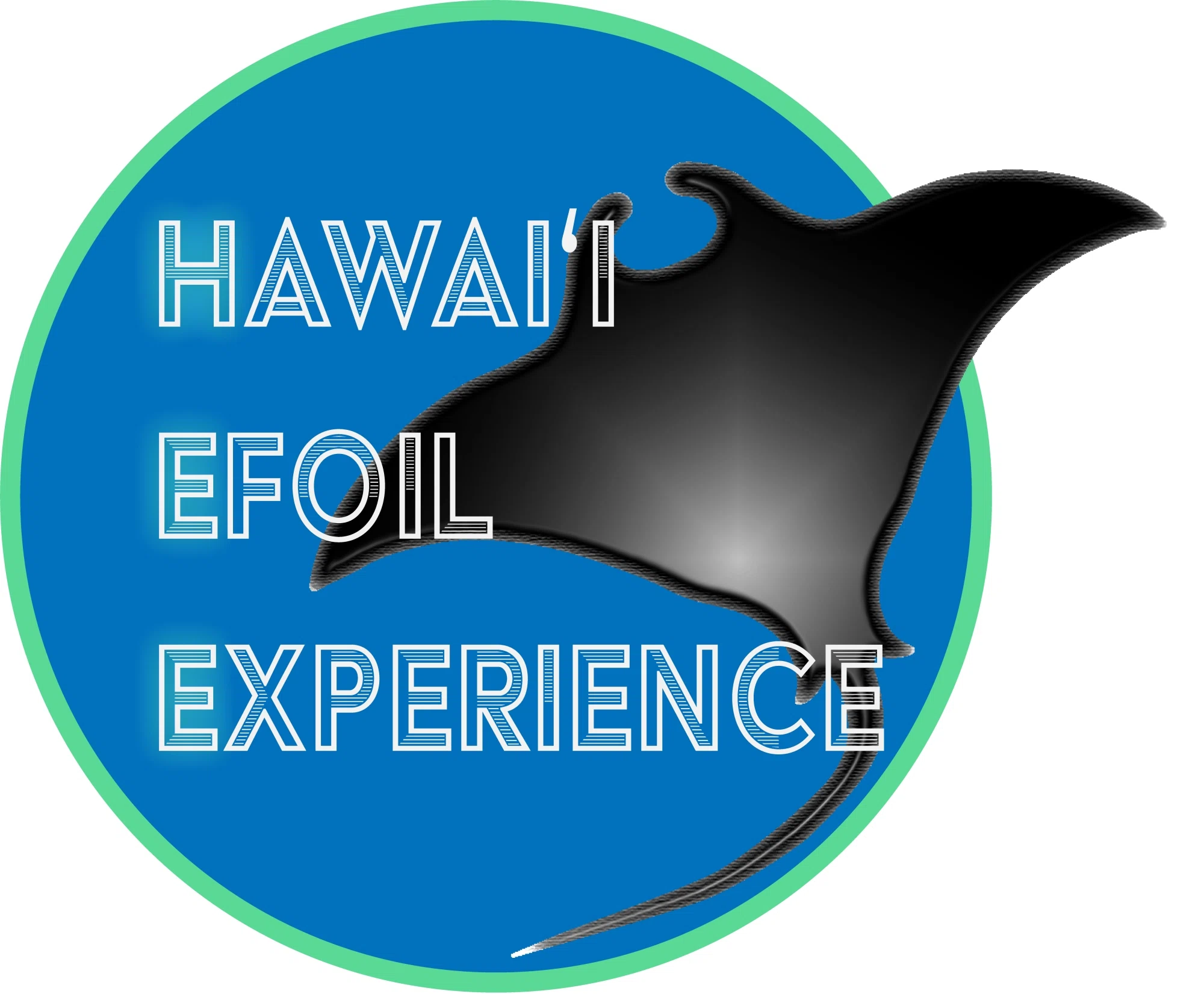 Hawaii Efoil Experience discount code